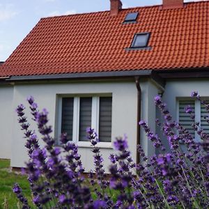 Huis 4 Slaapkamers